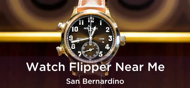  Watch Flipper Near Me San Bernardino